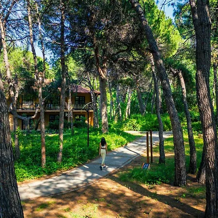Asteria Family Belek 5* アンタルヤ